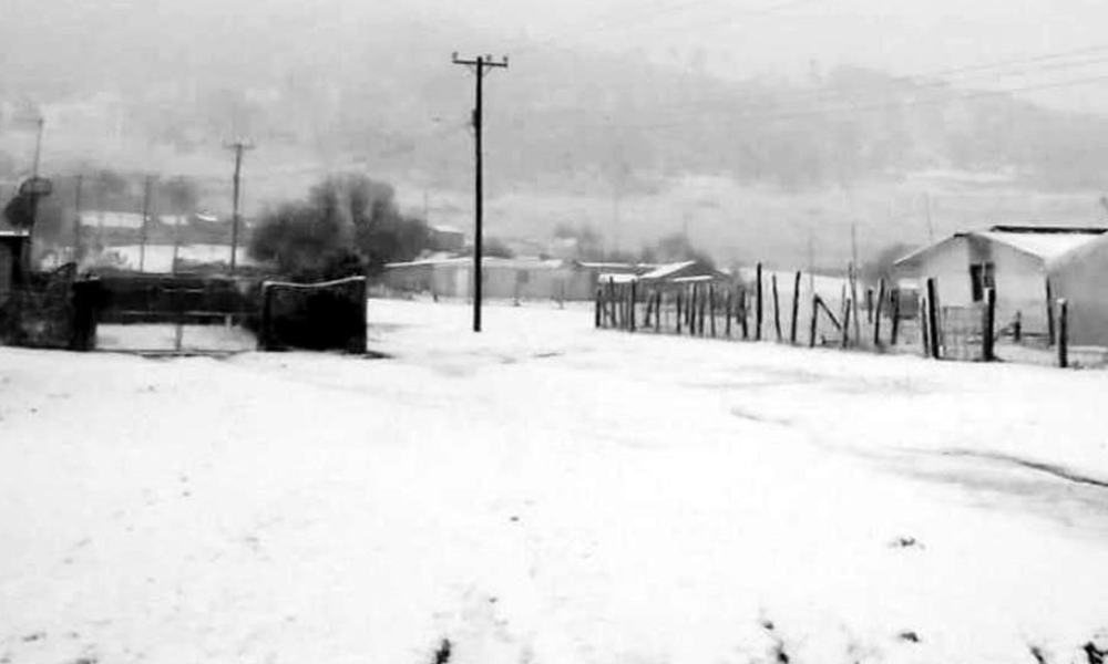 Primer nevada registrada en Galeana deja una capa de 7 a 9 centímetros 