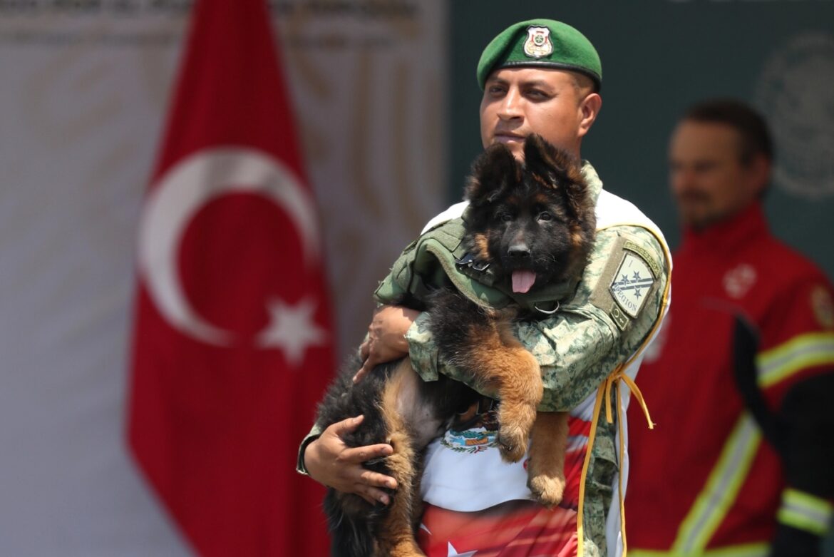 Presenta el Ejército Mexicano al perrito Arkadas