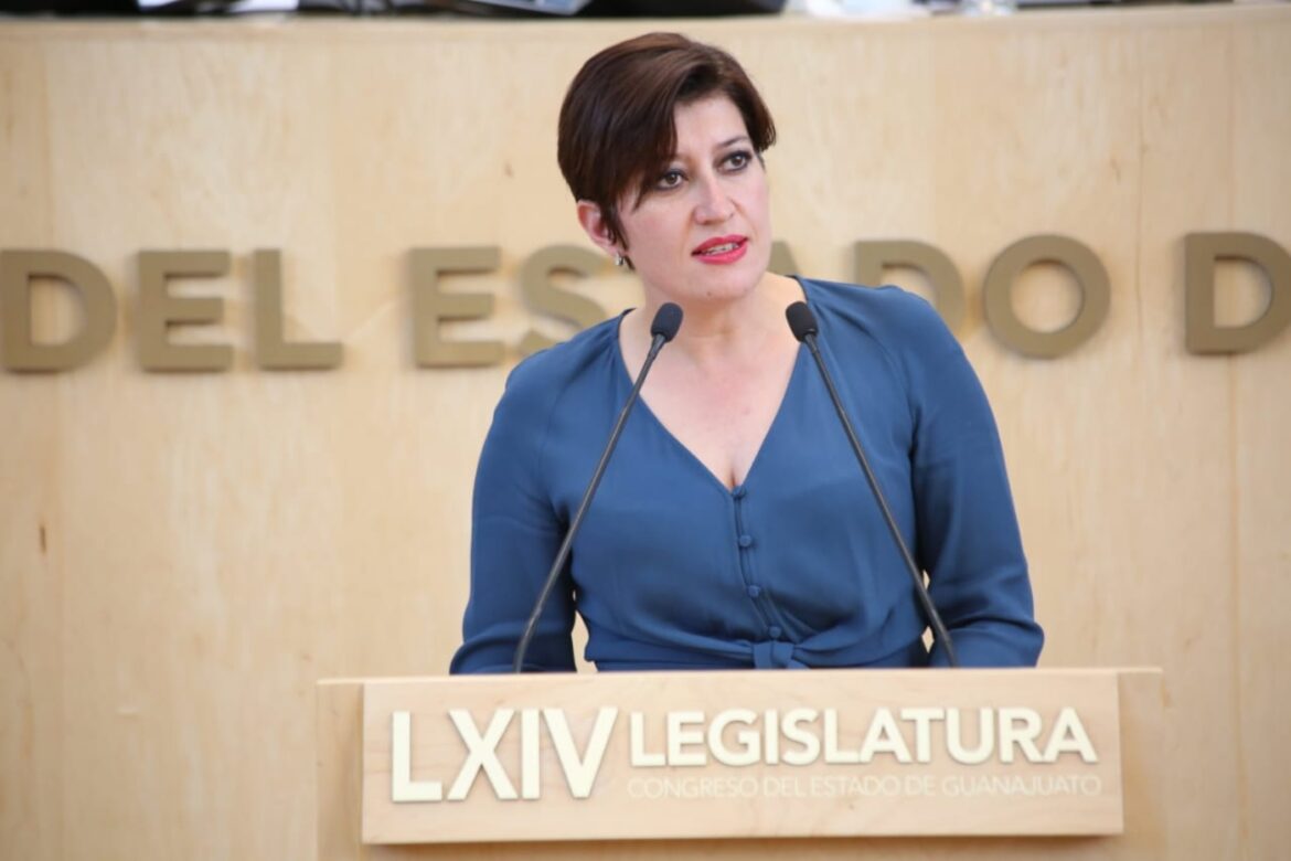 Diputada del PAN Guanajuato propone reforma en materia de feminicidio