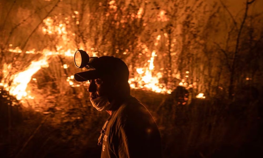 Urgen medidas contra incendios forestales; senadora del PRI hace llamado a Semarnat